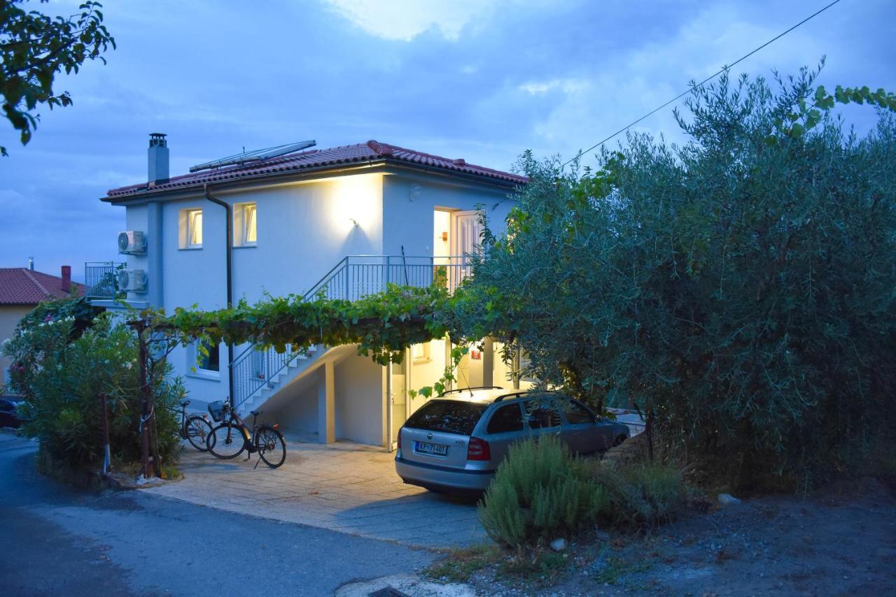 Apartma Med Oljkami - Apartment