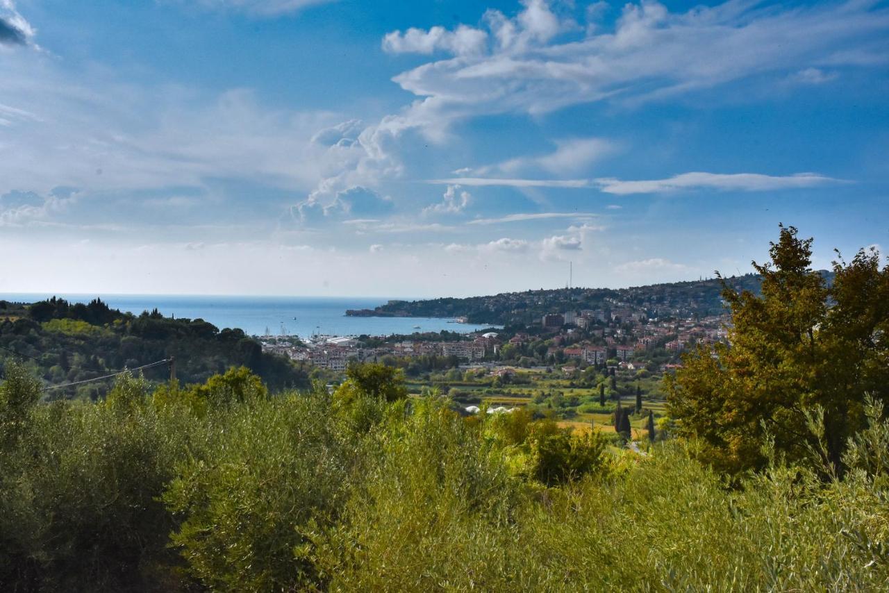 Apartma Med Oljkami - Portoroz